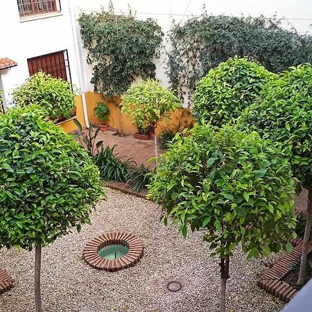La Pequena Escalera Mezquita Catedral Lägenhet Córdoba Exteriör bild