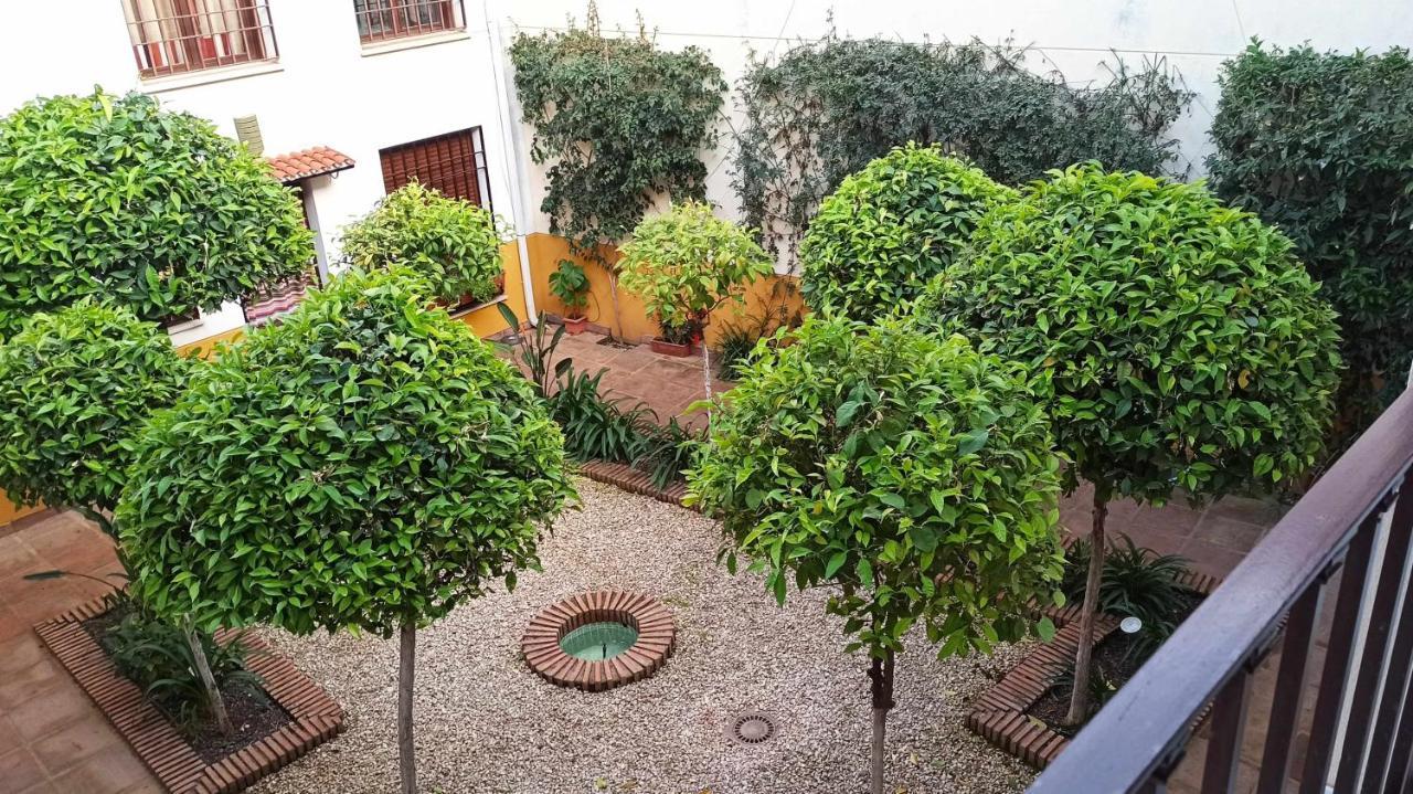 La Pequena Escalera Mezquita Catedral Lägenhet Córdoba Exteriör bild